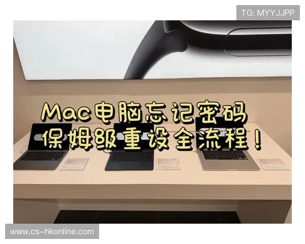 迈博真人会员登录账号密码忘记恢复流程详细指导